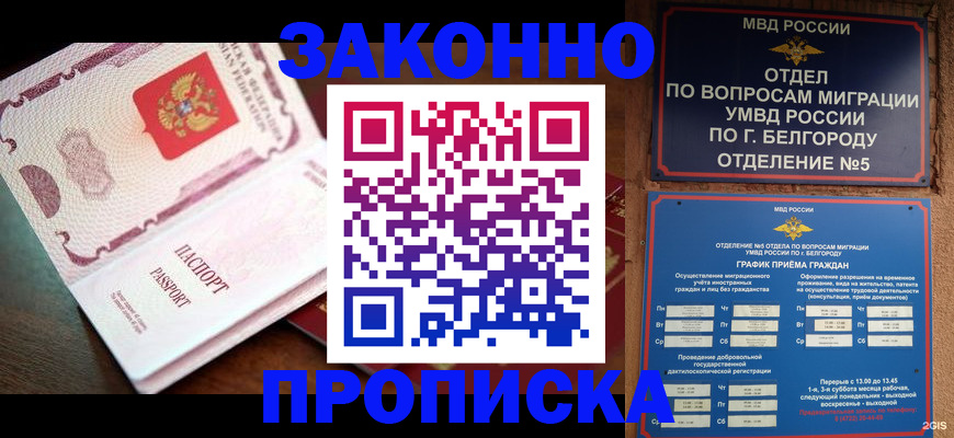 временная регистрация для школы в Кашине